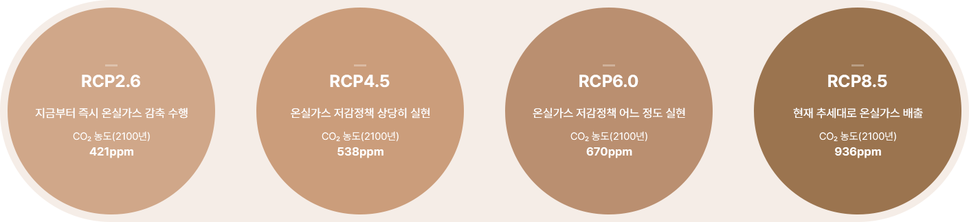RCP 시나리오